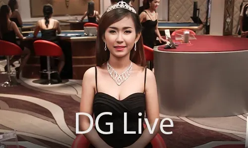 bingoplus Live Roulette