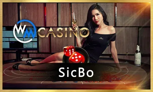 bingoplus Live Baccarat